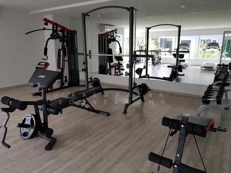 Regent Home Sukhumvit 81 : รีเจ้นท์ โฮม สุขุมวิท 81, กรุงเทพ, ซ. สุขุมวิท 81, สวนหลวง, กรุงเทพ, 28 ตร.ม., คอนโด ให้เช่า, โดย Praewpakar Soontawong, 500391614 - DDproperty.com