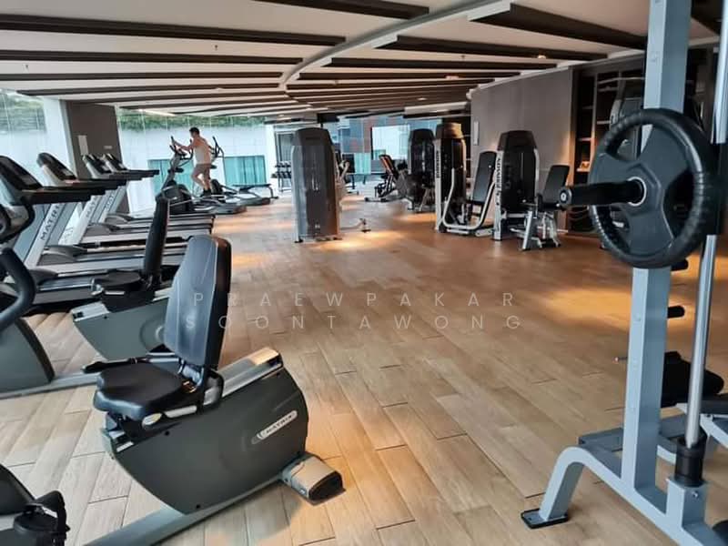 15 Sukhumvit Residences, Bangkok, Soi Sukhumvit 15, Khlongtoei Nua, Watthana, Bangkok, 1 Bedroom, 28 sqm, Condo For Rent, by Praewpakar Soontawong, 500391646 - DDproperty.com