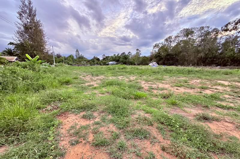 ชุมชนเข็งใหม่พัฒนา (ซอยโรงแรมแสนสุขรีสอร์ท), Maha Sarakham, Sua Thao, Chiang Yun, Maha Sarakham, , 6,076 sqm, Land For Sale, by ชนะชาติ นนท์ตา, 500391737 - DDproperty.com