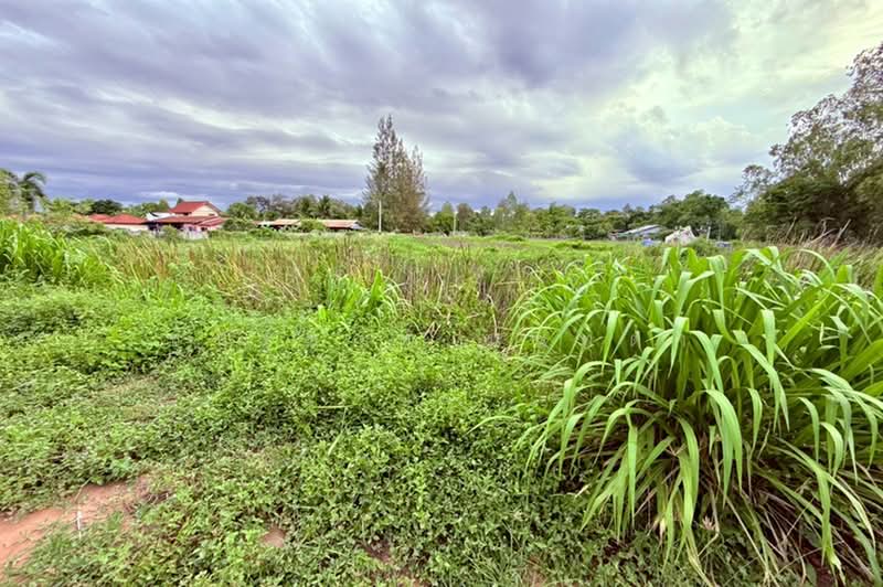 ชุมชนเข็งใหม่พัฒนา (ซอยโรงแรมแสนสุขรีสอร์ท), Maha Sarakham, Sua Thao, Chiang Yun, Maha Sarakham, , 6,076 sqm, Land For Sale, by ชนะชาติ นนท์ตา, 500391737 - DDproperty.com