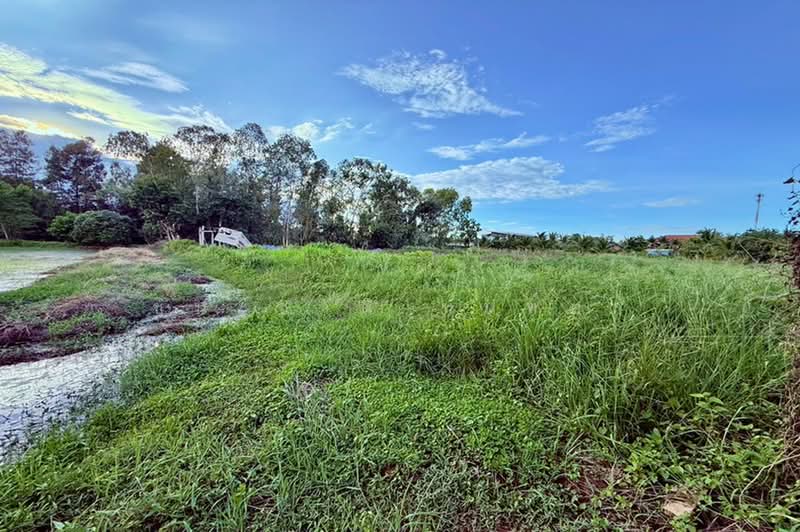ชุมชนเข็งใหม่พัฒนา (ซอยโรงแรมแสนสุขรีสอร์ท), Maha Sarakham, Sua Thao, Chiang Yun, Maha Sarakham, , 6,076 sqm, Land For Sale, by ชนะชาติ นนท์ตา, 500391737 - DDproperty.com