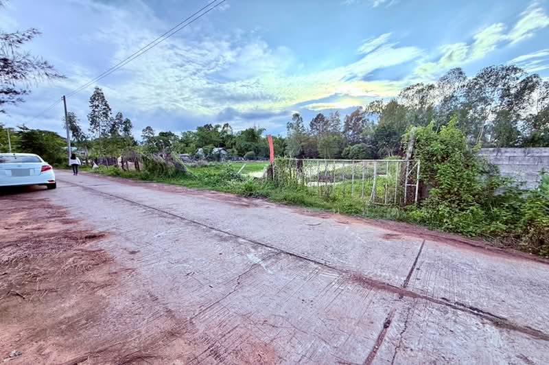 ชุมชนเข็งใหม่พัฒนา (ซอยโรงแรมแสนสุขรีสอร์ท), มหาสารคาม, เสือเฒ่า, เชียงยืน, มหาสารคาม, 6,076 ตร.ม., ที่ดิน ขาย, โดย ชนะชาติ นนท์ตา, 500391737 - DDproperty.com