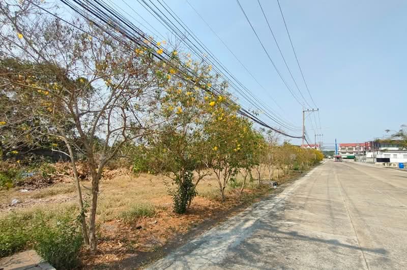 Sarantorn Rangsit Klong 4 : สราญธร รังสิต คลอง 4, ปทุมธานี, ถนน ไสวประชาราษฎร์, บึงยี่โถ, ธัญบุรี, ปทุมธานี, 2,240 ตร.ม., ที่ดิน ขาย, โดย ชนะชาติ นนท์ตา, 500391790 - DDproperty.com