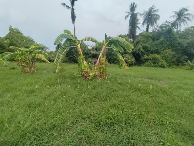 ที่ดินนครชัยศรี นครปฐม, Nakhon Pathom, Sampathuan, Nakhon Chai Sri, Nakhon Pathom, , 2,828 sqm, Land For Sale, by The Best Property ขวัญ, 500392045 - DDproperty.com