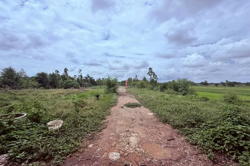 ที่ดินพร้อมกิจการ เนื้อที่ 21 ไร่ ใกล้ PT สาขาเชียงยืน 4 (ติดกับถนนขอนแก่น-โพนทอง), มหาสารคาม, เสือเฒ่า, เชียงยืน, มหาสารคาม, 33,600 ตร.ม., ที่ดิน ขาย, โดย ชนะชาติ นนท์ตา, 500392108 - DDproperty.com