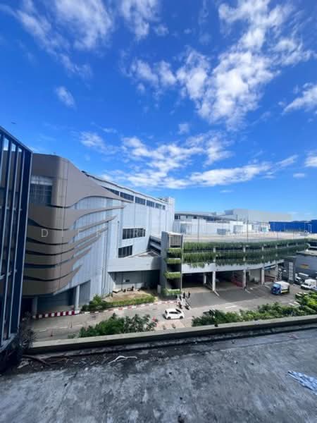 Plum Condo Central Station (Phase 2), Nonthaburi, Rattanathibet Road, Sao Thong Hin, Bang Yai, Nonthaburi, 1 Bedroom, 24 sqm, Condo For Rent, by DIFFER ESTATE, 500392174 - DDproperty.com