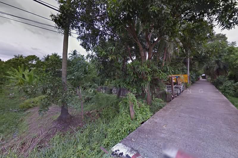 ให้เช่าพื้นที่บนเกาะเกร็ด 2-1-99 ไร่ โซนนักท่องเที่ยว เหมาะเปิดคาเฟ่ ร้านคราฟต์ หรือโฮมสเตย์, นนทบุรี, เกาะเกร็ด, ปากเกร็ด, นนทบุรี, 3,996 ตร.ม., ที่ดิน ให้เช่า, โดย Sirithong Saetang, 500392189 - DDproperty.com