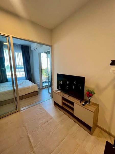 Plum Condo Sukhumvit 62 : พลัมคอนโด สุขมวิท 62, กรุงเทพ, ซอยสุขุมวิท 62, บางจาก, พระโขนง, กรุงเทพ, 29 ตร.ม., คอนโด ให้เช่า, โดย Connex Property, 500392432 - DDproperty.com