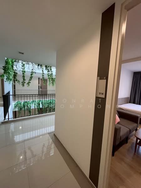 Chambers On-Nut Station, Bangkok, Soi Sukhumvit 81, Sukhumvit Road, Phra Kanong Nua, Watthana, Bangkok, 1 Bedroom, 27 sqm, Condo For Rent, by Aroonrat Sueasomphong, 500392465 - DDproperty.com
