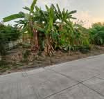 ขายที่ดินฝั่งทะเลอ่างศิลา 283 ตรว. ถนนมิตรสัมพันธ์ซอย4 ใกล้ถ.เสม็ด-อ่างศิลา3134-950เมตร, ชลบุรี