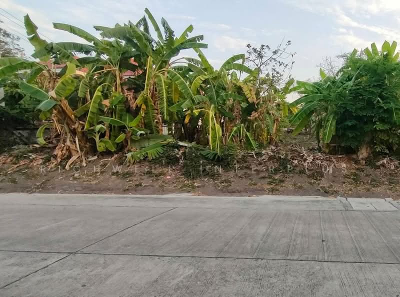 ขายที่ดินฝั่งทะเลอ่างศิลา 283 ตรว. ถนนมิตรสัมพันธ์ซอย4 ใกล้ถ.เสม็ด-อ่างศิลา3134-950เมตร, ชลบุรี, อ่างศิลา, เมืองชลบุรี, ชลบุรี, 1,132 ตร.ม., ที่ดิน ขาย, โดย RICHWELL INTERPLUS, 500392552 - DDproperty.com