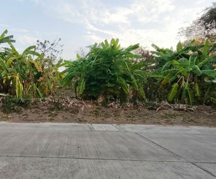 ขายที่ดินฝั่งทะเลอ่างศิลา 283 ตรว. ถนนมิตรสัมพันธ์ซอย4 ใกล้ถ.เสม็ด-อ่างศิลา3134-950เมตร, ชลบุรี, อ่างศิลา, เมืองชลบุรี, ชลบุรี, 1,132 ตร.ม., ที่ดิน ขาย, โดย RICHWELL INTERPLUS, 500392552 - DDproperty.com