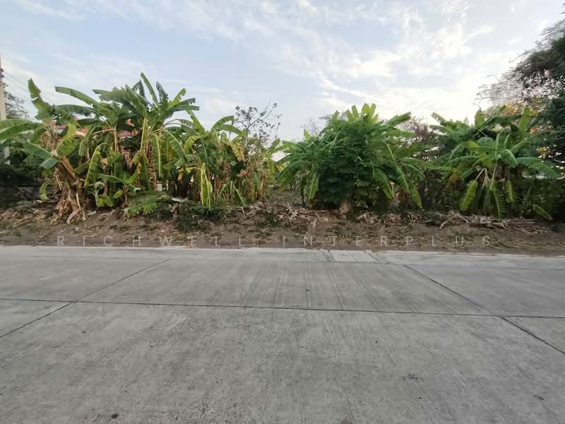 Land for sale on the Ang Sila beachfront, 283 square wah, on Mit Samphan Soi 4, Chon Buri (Pattaya), Ang Sila, Muang Chon Buri, Chon Buri (Pattaya), , 1,132 sqm, Land For Sale, by RICHWELL INTERPLUS, 500392552 - DDproperty.com