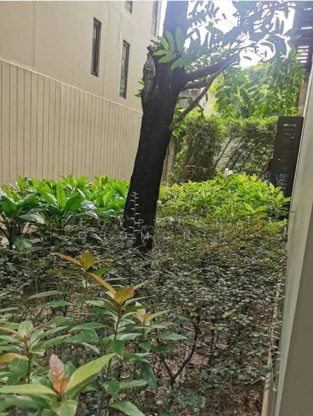 Condolette Dwell Sukhumvit 26, Bangkok, Soi Sukhumvit 26, Khong Tan, Khlong Toei, Bangkok, 1 Bedroom, 41 sqm, Condo For Rent, by Ploypatcha Chomchid, 500392587 - DDproperty.com