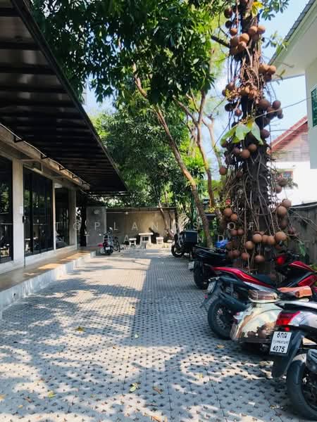 ขาย สำนักงานรัชดา (ใกล้ MRT ลาดพร้าว เพียง 1.5 Km.) 231 ตร.ว. พื้นที่อาคาร 1200 ตร.ม. จอดรถ 8 คัน, กรุงเทพ, รัชดาภิเษก, จตุจักร, กรุงเทพ, 1,200 ตร.ม., สำนักงาน ขาย, โดย TopLands of Thailand, 500392636 - DDproperty.com