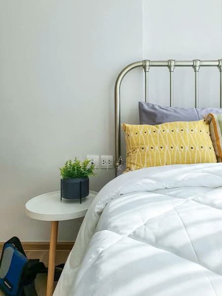 Oka Haus Sukhumvit 36, Bangkok, 3399 Rama 4 Road, Khong Tan, Khlong Toei, Bangkok, 2 Bedrooms, 41 sqm, Condo For Rent, by Pattada Letikul, 500392664 - DDproperty.com