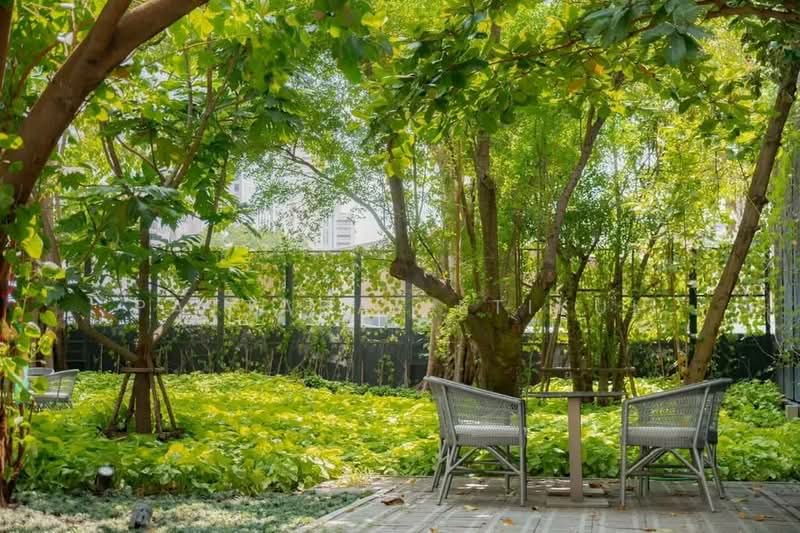 ASHTON Asoke, Bangkok, 131 Asoke Montri Road, Khlongtoei Nua, Watthana, Bangkok, 1 Bedroom, 33 sqm, Condo For Rent, by Pattada Letikul, 500392689 - DDproperty.com