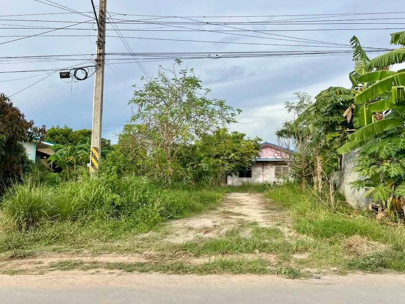 บ้านเดี่ยวพร้อมที่ดินพานทอง ชลบุรี, Chon Buri (Pattaya), Nong - Hong, Phan Thong, Chon Buri (Pattaya), 3 Bedrooms, 150 sqm, Single Detached House For Sale, by The Best Property  ตุ๊กตา, 500392696 - DDproperty.com