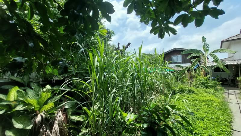Land for Sale at Chalerm-prakiet Soi 11 land 417 Sq.wha (1-0-17 Rai), Bangkok, เฉลิมพระเเกียรติ ร.9 ซอย 11, Nong Bon, Prawet, Bangkok, , 1,668 sqm, Land For Sale, by Thanatsorn Hongmanop, 500392699 - DDproperty.com