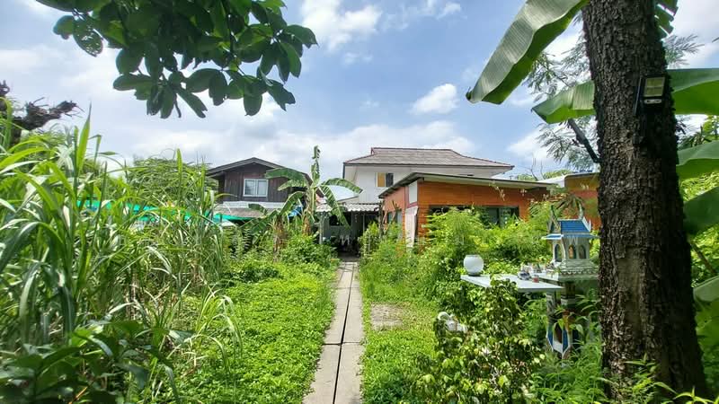 ถนนเฉลิมพระเกียรติ ร.9 ซอย 11 แขวงหนองบอน เขตประเวศ กทม., กรุงเทพ, เฉลิมพระเเกียรติ ร.9 ซอย 11, หนองบอน, ประเวศ, กรุงเทพ, 1,668 ตร.ม., ที่ดิน ขาย, โดย ธนัชสร หงษ์มานพ, 500392699 - DDproperty.com
