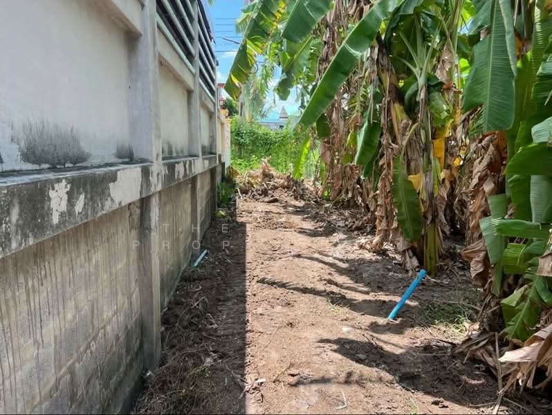 ที่ดินบางบัวทอง นนทบุรี, Nonthaburi, Bang Bua Thong, Bang Bua Thong, Nonthaburi, , 400 sqm, Land For Sale, by The Best Property บี, 500392783 - DDproperty.com
