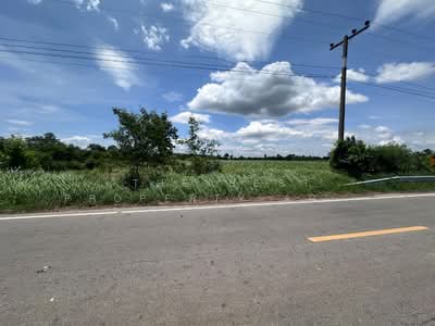 ขาย - ที่ดินหนองเรือ ขอนแก่น, ขอนแก่น