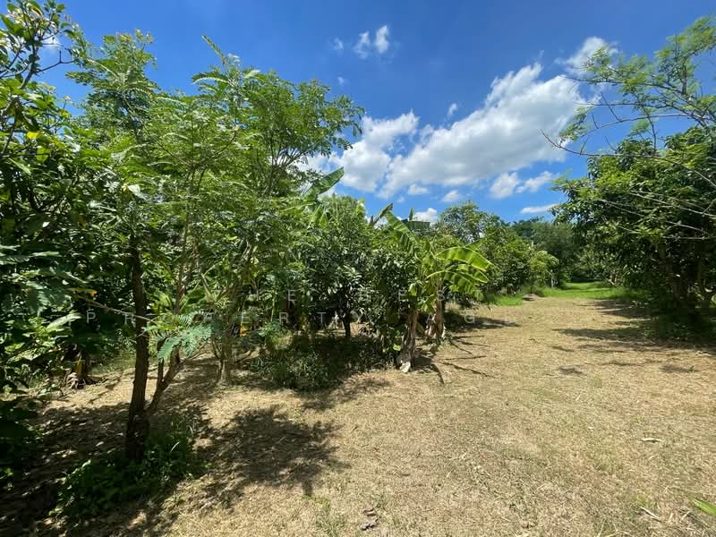 ที่ดินพร้อมสิ่งปลูกสร้างมีนบุรี กรุงเทพมหานคร, Bangkok, Saen Sab, Min Buri, Bangkok, , 3,232 sqm, Land For Sale, by The Best Property Agent นาเดีย, 500392848 - DDproperty.com