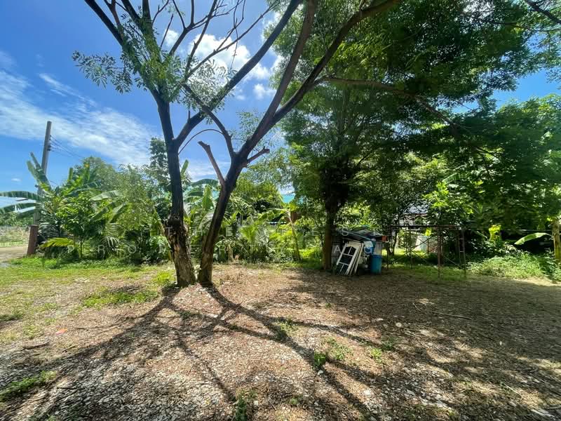 ที่ดินพร้อมสิ่งปลูกสร้างมีนบุรี กรุงเทพมหานคร, Bangkok, Saen Sab, Min Buri, Bangkok, , 3,232 sqm, Land For Sale, by The Best Property Agent นาเดีย, 500392848 - DDproperty.com
