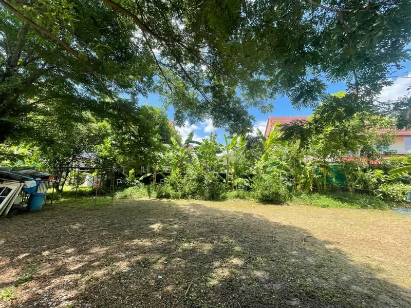 ที่ดินพร้อมสิ่งปลูกสร้างมีนบุรี กรุงเทพมหานคร, Bangkok, Saen Sab, Min Buri, Bangkok, , 3,232 sqm, Land For Sale, by The Best Property Agent นาเดีย, 500392848 - DDproperty.com