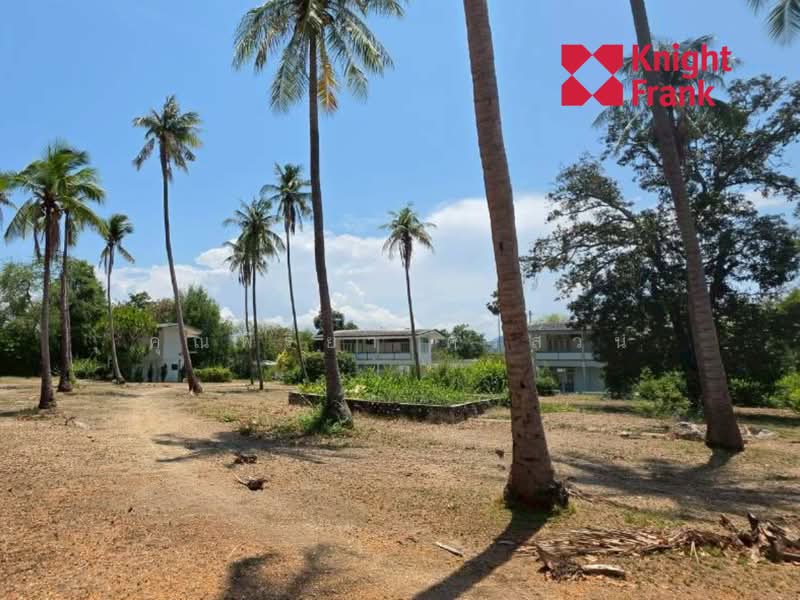 ถนนเพชรเกษม ตำบลชะอำ อำเภอชะอำ จังหวัดเพชรบุรี 76120, เพชรบุรี, เพชรเกษม, ชะอำ, เพชรบุรี, 3,104,456 ตร.ม., ที่ดิน ขาย, โดย คุณพิริยา ศรีส่วน, 500392851 - DDproperty.com