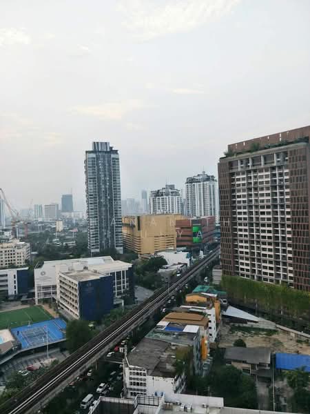 Life @ Sukhumvit 65 : ไลฟ์ แอท สุขุมวิท 65, กรุงเทพ, ถนนสุขุมวิท แขวงพระโขนงเหนือ เขตวัฒนา กรุงเทพมหานคร, พระโขนงเหนือ, วัฒนา, กรุงเทพ, 41 ตร.ม., คอนโด ขาย, โดย Thananith Ittitulyapong, 500392853 - DDproperty.com