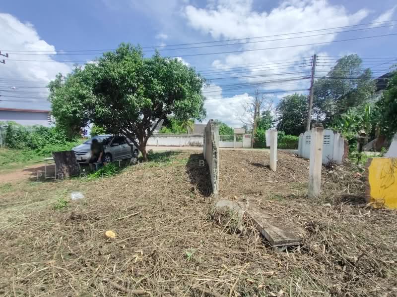 ที่ดินท่าอิฐ อุตรดิตถ์, Uttaradit, Tha It, Muang Uttaradit, Uttaradit, , 144 sqm, Land For Sale, by The Best Property Agent น้อยหน่า, 500392884 - DDproperty.com
