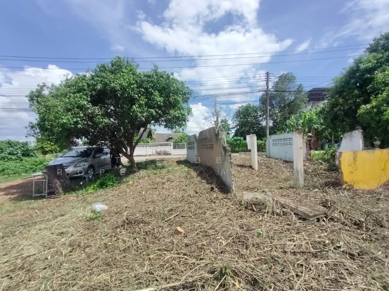 ที่ดินท่าอิฐ อุตรดิตถ์, อุตรดิตถ์, ท่าอิฐ, เมืองอุตรดิตถ์, อุตรดิตถ์, 144 ตร.ม., ที่ดิน ขาย, โดย The Best Property Agent น้อยหน่า, 500392884 - DDproperty.com
