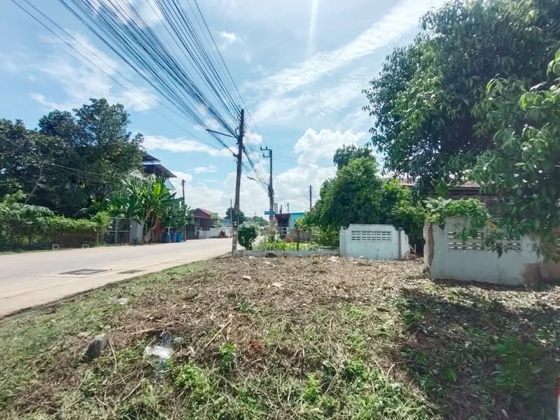 ที่ดินท่าอิฐ อุตรดิตถ์, Uttaradit, Tha It, Muang Uttaradit, Uttaradit, , 144 sqm, Land For Sale, by The Best Property Agent น้อยหน่า, 500392884 - DDproperty.com