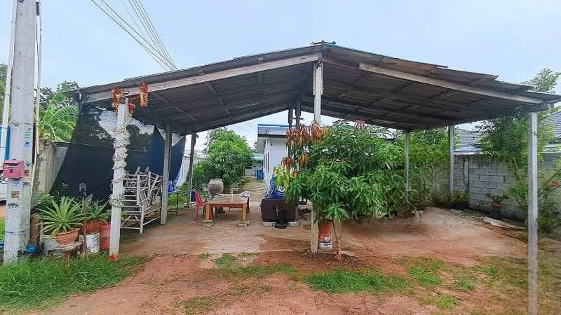 บ้านเดี่ยว 100 ตารางวา ซ.พระประภานิมิตร 28 หนองปรือ ชลบุรี ถูกมาก, ชลบุรี, พรประภานิมิตร, หนองปรือ, บางละมุง, ชลบุรี, 45 ตร.ม., บ้านเดี่ยว ขาย, โดย คุณ ณิชชา (ณิชชา), 500392902 - DDproperty.com