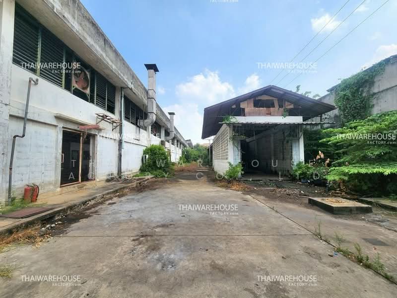 Warehouse for Rent Lad Sawai Lam Luk Ka 15600 sqm Main Road Access 40ft Truck Ready, Pathum Thani, Lat Sawai, Lam Luk Ka, Pathum Thani, , 15,600 sqm, Warehouse/Factory For Rent, by THAI WAREHOUSE FACTORY CO., LTD., 500392918 - DDproperty.com