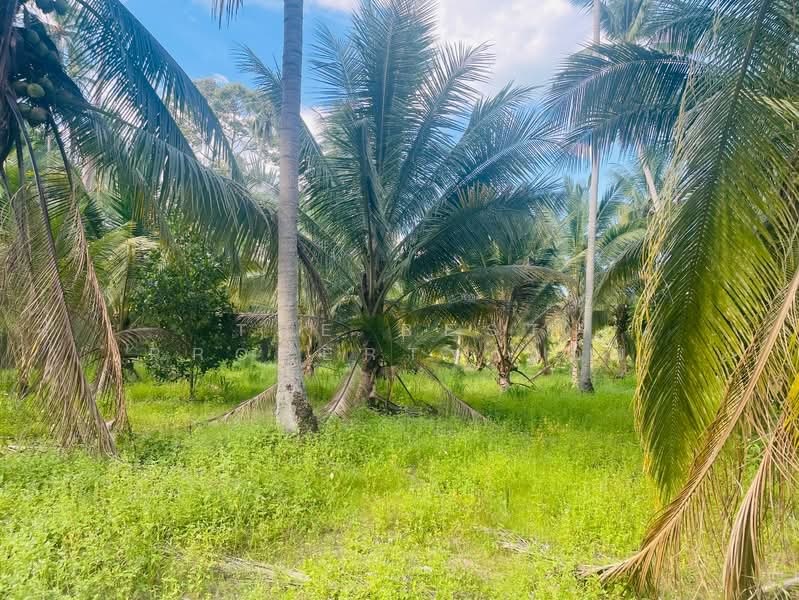 ที่ดินสิชล นครศรีธรรมราช, Nakhon Si Thammarat, Thung Sai, Sichon, Nakhon Si Thammarat, , 3,548 sqm, Land For Sale, by The Best Property อ้อย, 500392940 - DDproperty.com