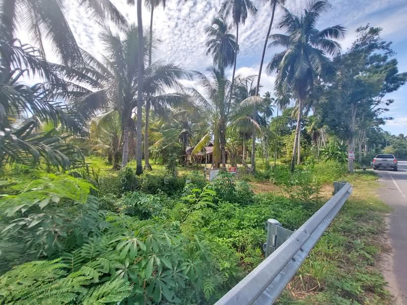 ที่ดินสิชล นครศรีธรรมราช, Nakhon Si Thammarat, Thung Sai, Sichon, Nakhon Si Thammarat, , 3,548 sqm, Land For Sale, by The Best Property อ้อย, 500392940 - DDproperty.com