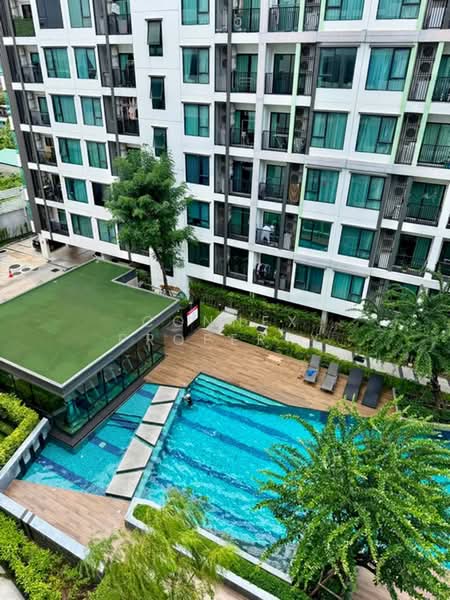 The Niche Mono Sukhumvit 50 : นิช โมโน สุขุมวิท 50, กรุงเทพ, ซอยเริ่มเจริญ ถนนสุขุมวิท50, พระโขนง, คลองเตย, กรุงเทพ, 31 ตร.ม., คอนโด ให้เช่า, โดย Connex Property, 500393005 - DDproperty.com