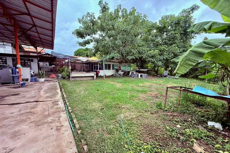 ที่ดินพร้อมกิจการ เนื้อที่ 186 ตร.ว. อยู่ติดกับปั้ม PT เชียงยืน, Maha Sarakham, Chiang Yun, Maha Sarakham, , 744 sqm, Land For Sale, by ชนะชาติ นนท์ตา, 500393010 - DDproperty.com
