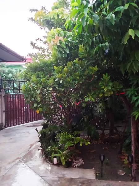 2-BR House, Chon Buri (Pattaya), Bang Sai, Muang Chon Buri, Chon Buri (Pattaya), 2 Bedrooms, 66 sqm, Single Detached House For Sale, by Achitaphop Klinpipat, 500393039 - DDproperty.com