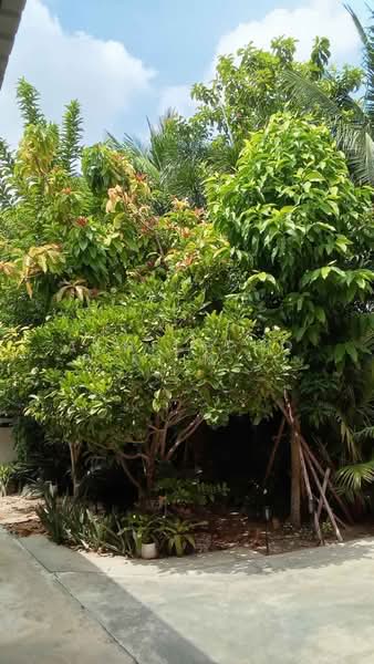 2-BR House, Chon Buri (Pattaya), Bang Sai, Muang Chon Buri, Chon Buri (Pattaya), 2 Bedrooms, 66 sqm, Single Detached House For Sale, by Achitaphop Klinpipat, 500393039 - DDproperty.com