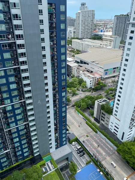 The Base Sukhumvit 77 : เดอะ เบส สุขุมวิท 77, กรุงเทพ, 289 ถนนสุขุมวิท 77, พระโขนงเหนือ, วัฒนา, กรุงเทพ, 30 ตร.ม., คอนโด ให้เช่า, โดย Napat Thamakulangkul, 500393261 - DDproperty.com