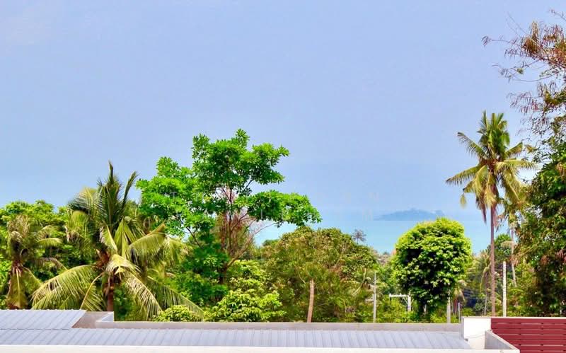 5-BR House, Surat Thani, Bo Put, Ko Samui, Surat Thani, 5 Bedrooms, 470 sqm, Single Detached House For Sale, by Thitiporn Pawikham, 500393304 - DDproperty.com