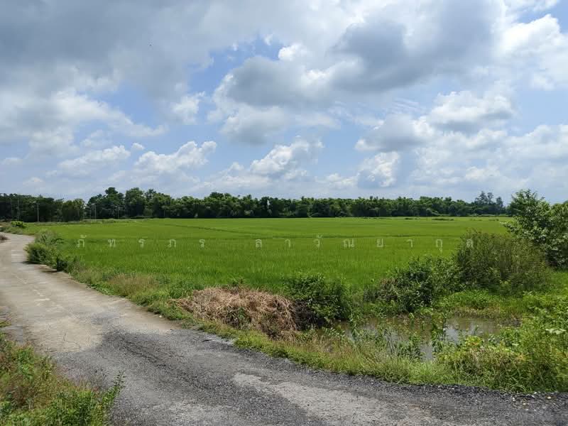 ขาย - ขายที่ดิน บ้านนา นครนายก, นครนายก