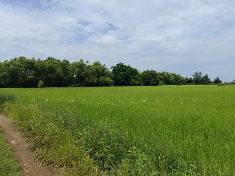 ขาย - ขายที่ดิน บ้านนา นครนายก, นครนายก