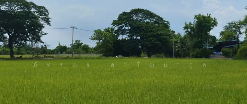 Prime Riverside Land for Sale – Ban Na, Nakhon Nayok, Bang O, Ban Na, Nakhon Nayok, , 43,712 sqm, Land For Sale, by ภัทรภร ลาวัณยากุล, 500393828 - DDproperty.com