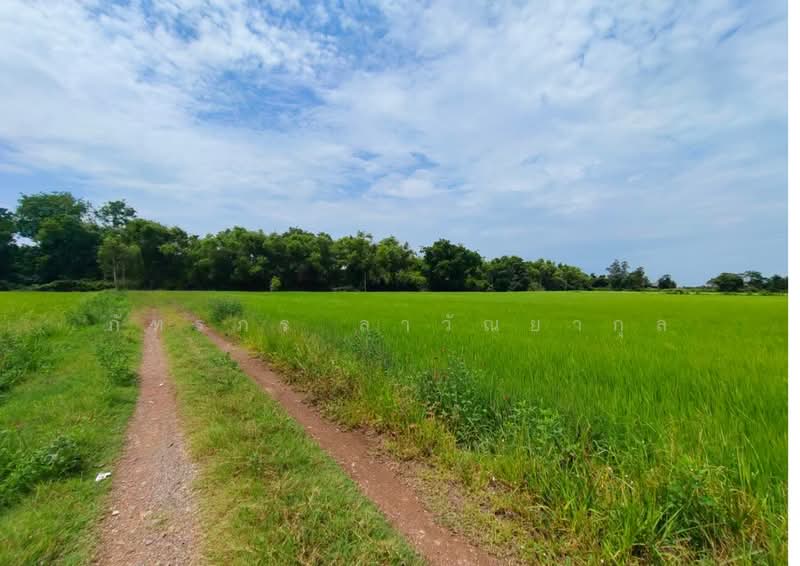 Prime Riverside Land for Sale – Ban Na, Nakhon Nayok, Bang O, Ban Na, Nakhon Nayok, , 43,712 sqm, Land For Sale, by ภัทรภร ลาวัณยากุล, 500393828 - DDproperty.com