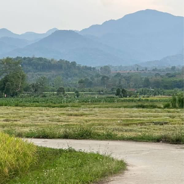 ขาย - ที่ดินแปลงสวย เมืองฝาง จ.เชียงใหม่ วิวเขา อากาศดี, เชียงใหม่