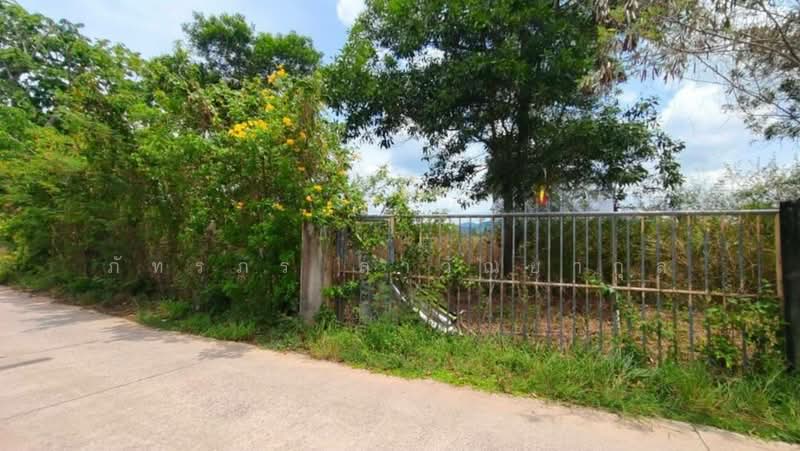 ที่ดินสวย ใกล้ รร.นายร้อย จปร. เพียง 3.5 กม, Nakhon Nayok, Phrommani, Muang Nakhon Nayok, Nakhon Nayok, , 7,504 sqm, Land For Sale, by ภัทรภร ลาวัณยากุล, 500393863 - DDproperty.com